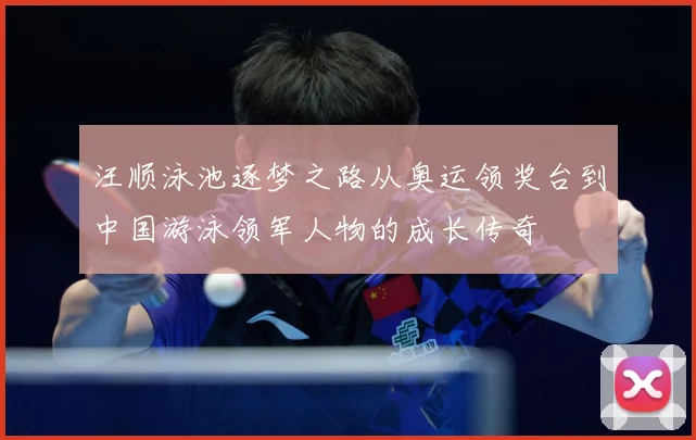 汪顺泳池逐梦之路从奥运领奖台到中国游泳领军人物的成长传奇
