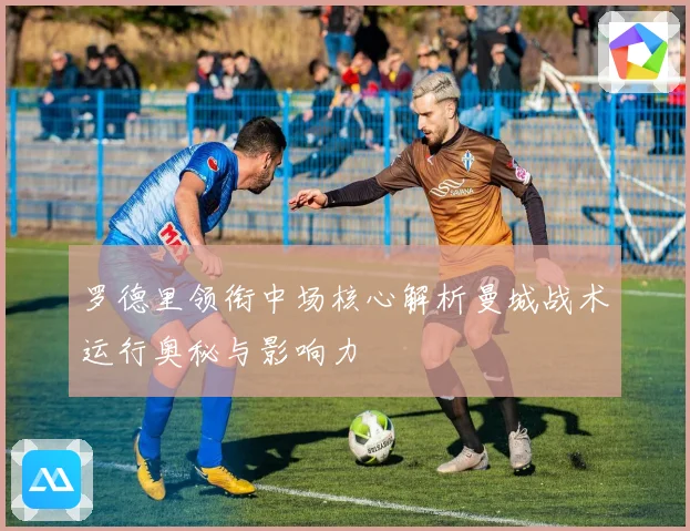 罗德里领衔中场核心解析曼城战术运行奥秘与影响力